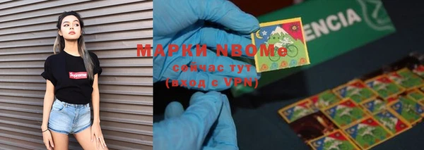 твердый Протвино