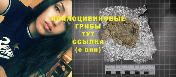 твердый Пролетарск
