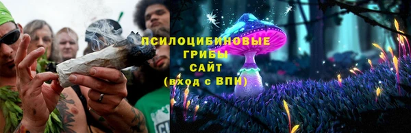 твердый Протвино