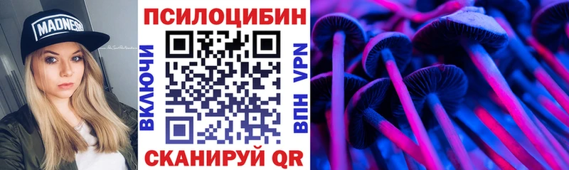Галлюциногенные грибы GOLDEN TEACHER  где продают наркотики  Калач 